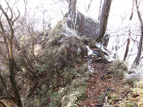 20191129hike (309)